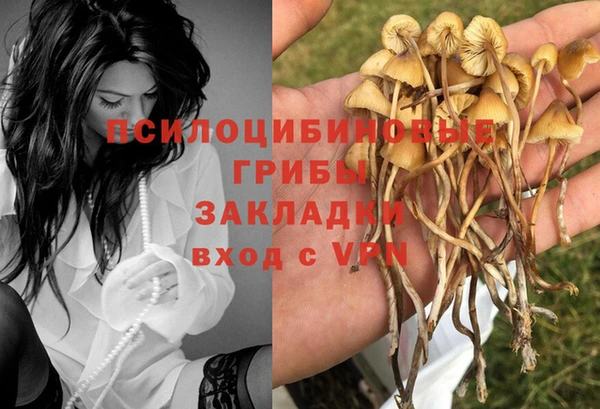гашик Зеленокумск