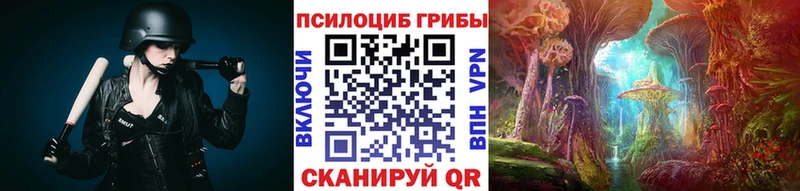 Купить где  Дивногорск  Псилоцибиновые грибы Psilocybine cubensis 