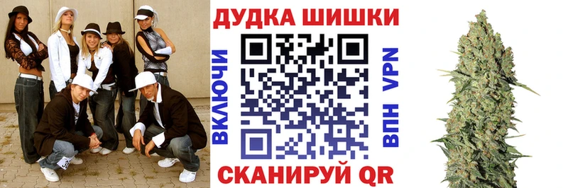 Купить закладки  Дивногорск  Бошки марихуана план 